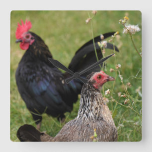Rooster en Hen Vierkante Klok