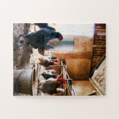 Rooster en hennen in Barn Legpuzzel (Horizontaal)