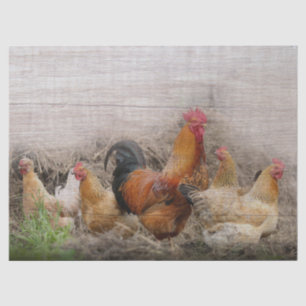 Rooster en hennen tissuepapier