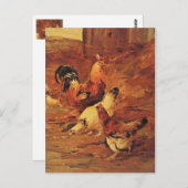 Rooster en kippen briefkaart (Voorkant / Achterkant)