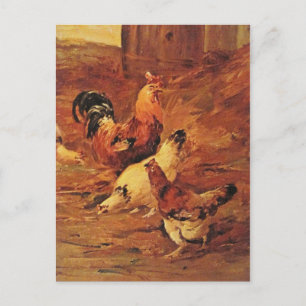 Rooster en kippen briefkaart