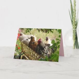 Rooster en kippen Chook Boerderij Country Card Kaart