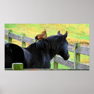Rooster en Mare Poster