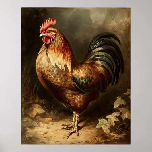  Rooster Farmhouse Art Print (Voorkant)