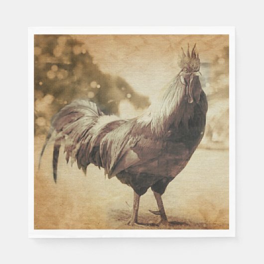 Rooster foto servet (Voorkant)
