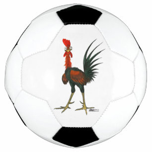 Rooster fou