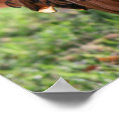 "Rooster Glow" Poster (Hoek)