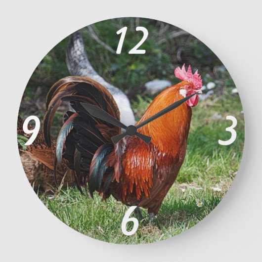 rooster grote klok (Voorkant)