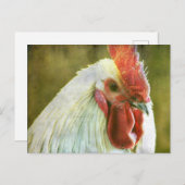 Rooster Grunge Briefkaart (Voorkant / Achterkant)