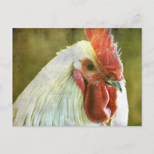 Rooster Grunge Briefkaart (Voorkant)