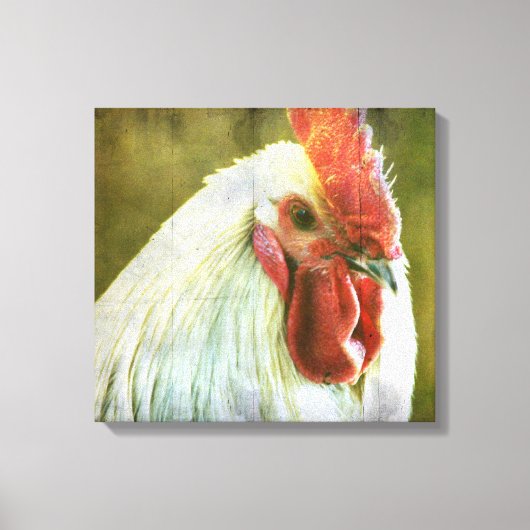 Rooster  Grunge Canvas afdrukken (Voorkant)