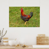 Rooster (haantjes) poster (Keuken)