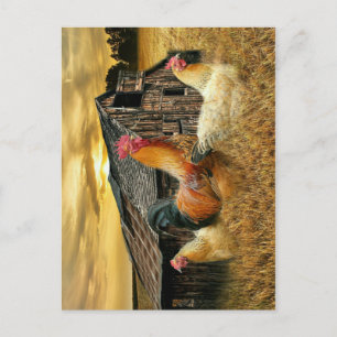 Rooster Hens Rustic Barn Coop Briefkaart