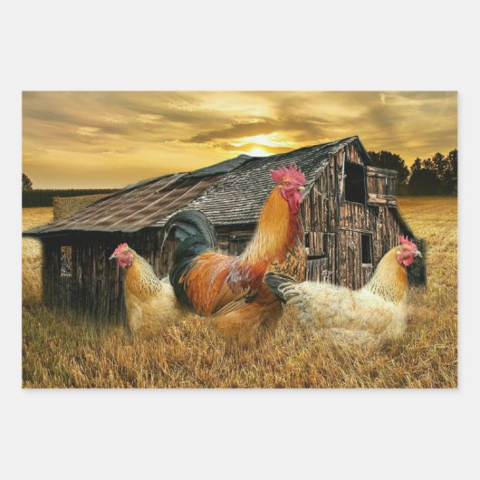 Rooster Hens Rustic Barn Coop Inpakpapier Vel (Voorkant)