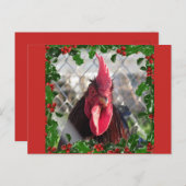 Rooster Holly Christmas Briefkaart (Voorkant / Achterkant)