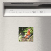 Rooster in de bladeren magneet (Insitu (Vaatwasser))