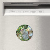 Rooster in de Hay Meadow Magneet (Insitu (Vaatwasser))