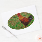 Rooster in de Yard Ovale Sticker (Envelop)