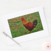 Rooster in de Yard Rechthoekige Sticker (Envelop)