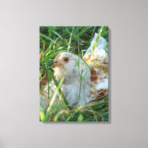 Rooster in hooibeemdoek canvas afdruk