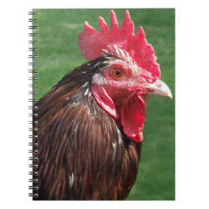 Rooster Journal Notitieboek