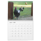 Rooster Kalender (Mar 2027)