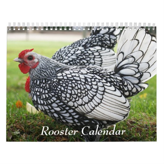 Rooster Kalender (Hoes)