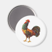 Rooster Kitchen Crate Art Magneet (Voorkant / Achterkant)