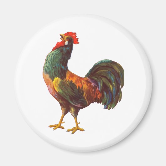 Rooster Kitchen Crate Art Magneet (Voorkant)