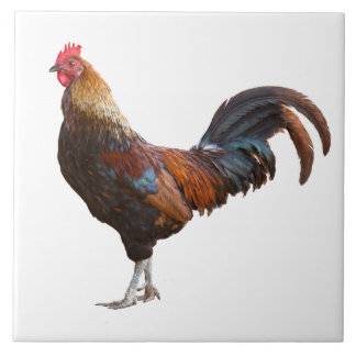 Rooster Kitchen Decor voegt achtergrondkleurtekst  Tegeltje