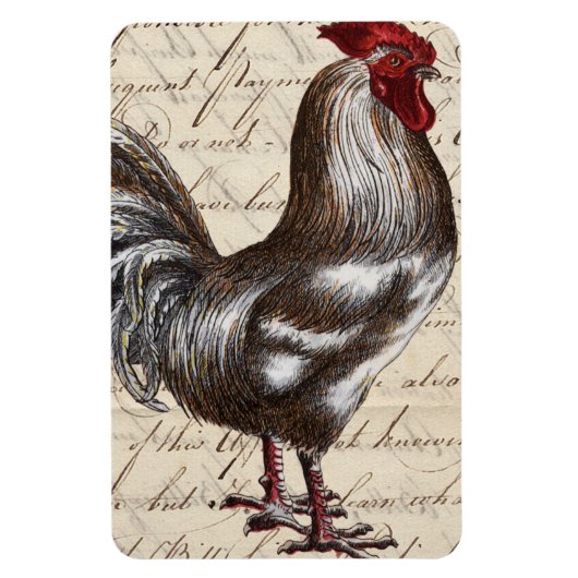 Rooster Magneet (Verticaal)