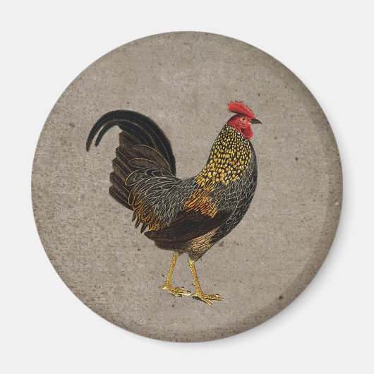 Rooster Magneet (Voorkant)