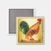 Rooster Magnet Magneet (Voorkant / Achterkant)