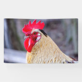 Rooster met Cockscomb Spandoek (Horizontaal)