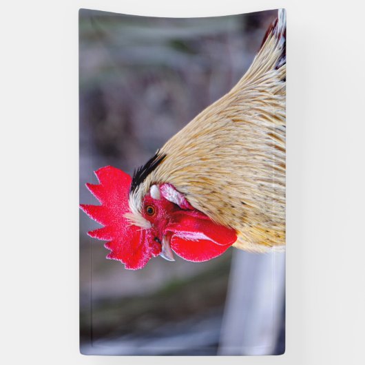 Rooster met Cockscomb Spandoek (Verticaal)