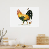 Rooster met kippen en kippen. poster (Keuken)