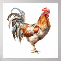 Rooster Neutral Kleuren Waterverf Schilderen