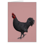 Rooster noir (Devant)