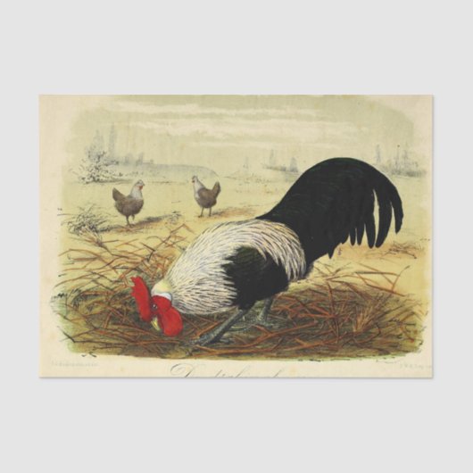  rooster of vaartuig tissuepapier (Voorkant)