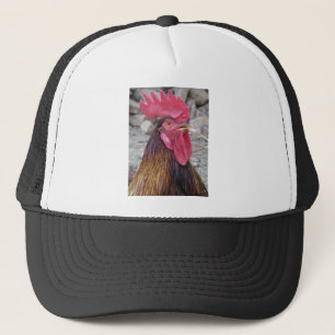 Rooster-Pet Trucker Pet