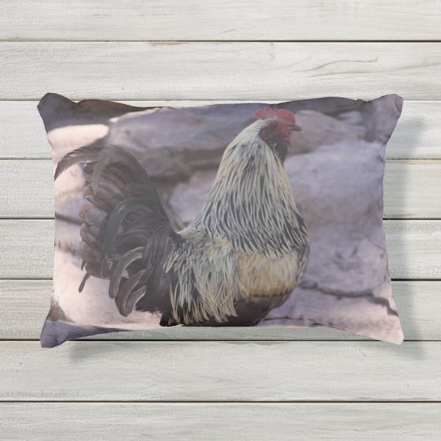 Rooster Pillow Buitenkussen (Voorkant)