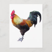 Rooster Plain Briefkaart (Voorkant)
