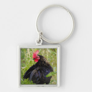 Rooster Portrait Sleutelhanger