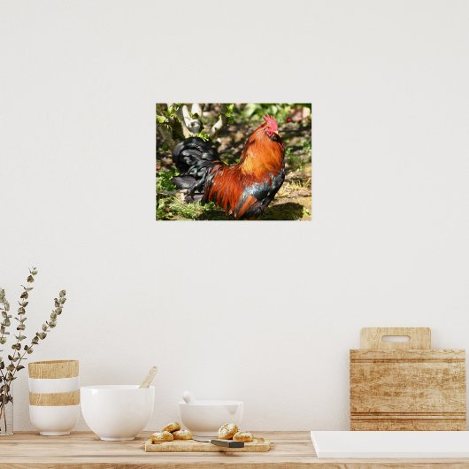 rooster poster (Keuken)