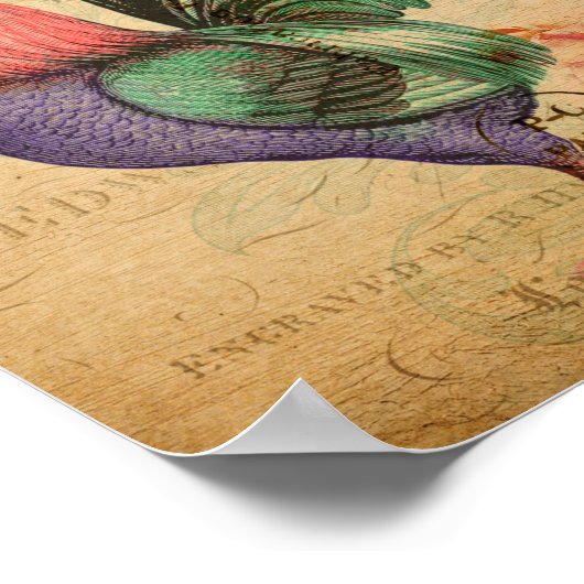 Rooster Poster (Hoek)