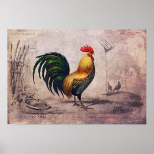 Rooster-Poster of losbladig papier Poster