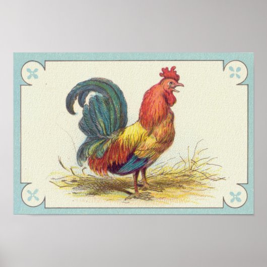 Rooster Print (Voorkant)