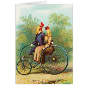 Rooster Romantic Bike Date