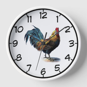 Rooster rondom de acrylwand