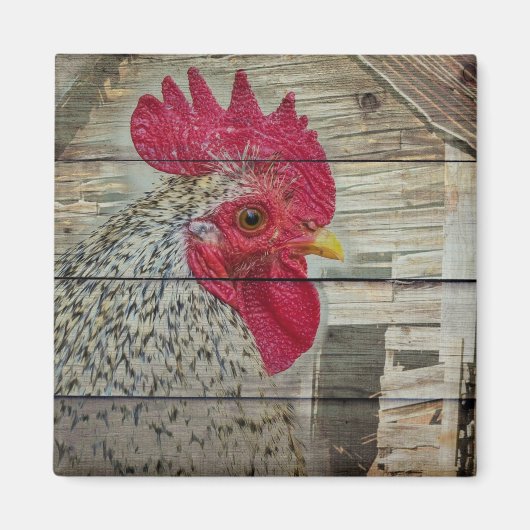 Rooster Rustic Chicken Coop Barn Board Magneet (Voorkant)